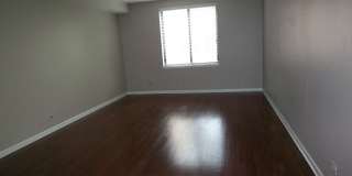 110 S Dunton Avenue Gallery 12