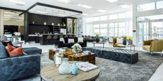 Sophia Square Gallery 12