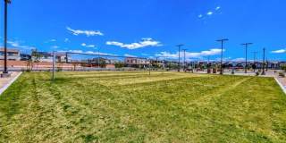 911 Cadence View Way Gallery 25