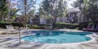 26701 Quail Creek Gallery 21