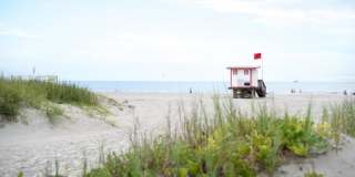 801 S Brevard Avenue Gallery 8