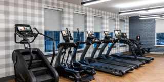 Halstead Hopkinton Gallery 12