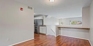 142 SANDY Lane Gallery 6