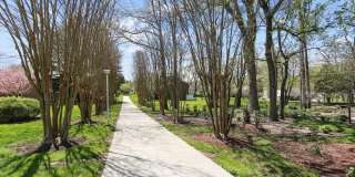 3210 N LEISURE WORLD Boulevard unit: 119 Gallery 60