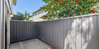 Pruneyard West Gallery 38