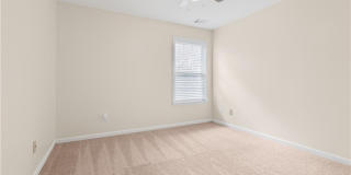 1419 Hornell Lane Gallery 23