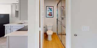 Thea Gallery 12