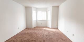 Candlewyck Gallery 21