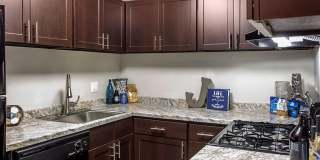 Cobalt Springs Gallery 1