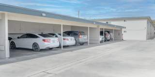 El Dorado Gallery 35