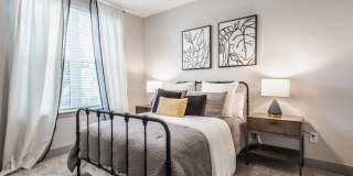 Lector 85 Gallery 13