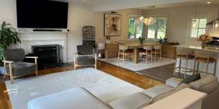 339 Durie Avenue Gallery 1
