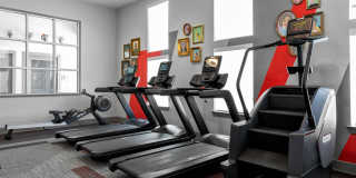 Eightyone10 Blue Goose Gallery 3