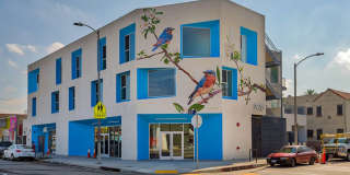 Catalina West Adams Gallery 1