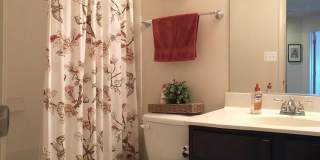 23337 TRADEWIND Drive Gallery 16