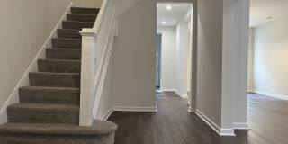 304 Lyndhurst Street - 1 Gallery 1