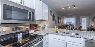 Atlantic Palms Gallery 7