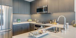 The Merian Gallery 50