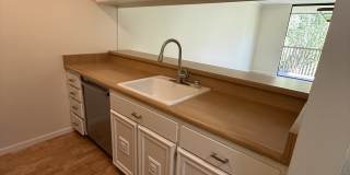 6351 Shelter Creek Lane - 1 Gallery 11