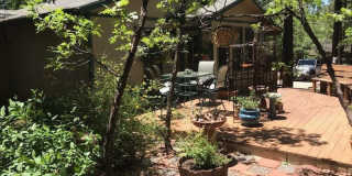 1707 E Woodchuck Lane Gallery 29