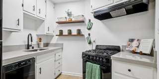 ReNew Arden Gallery 1