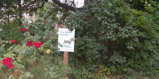 2012 MOUNT ROYAL Gallery 43