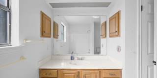3161 Tanglewood Trail Gallery 8