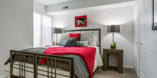 Laurel Valley Gallery 8