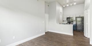 Lyra Gallery 5
