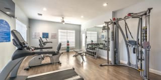 Olympus Stone Glen Gallery 5