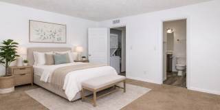 Azara Tempe Gallery 17