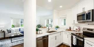7597 Charmant Dr 7597 Charmant Dr Gallery 1