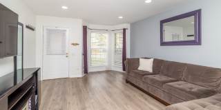 23 Carey Lane Gallery 4