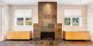 319 Orchid Gallery 7