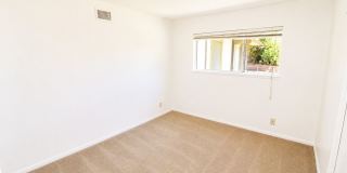 Large 6 Bedroom - Huge Yard - Students Welcome Gallery 14