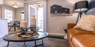 The Orion The Orion Gallery 10