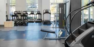 Vine North Hills Gallery 6