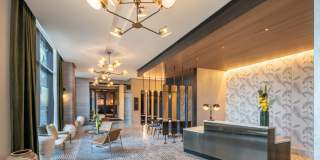 Illume Gallery 8