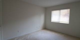 Great Shared Space For Rent Gallery 1