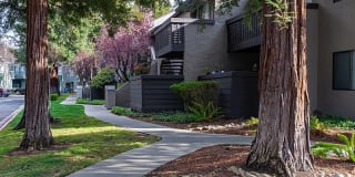 Ellinwood Gallery 23