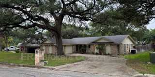 143 Forrest Trail Gallery 1