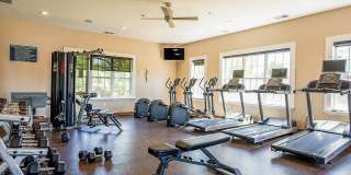 Albany Glen Gallery 31