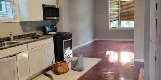 Charming 3BR Duplex in Chicago Gallery 4