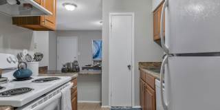 Meadow Wood Gallery 7