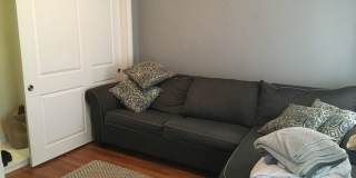 South Boston 1bed / 1bath No Fee $2950 Gallery 5