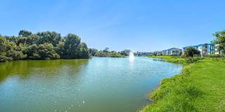 Costa Del Lago Gallery 13