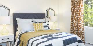 Pine Brook Place Gallery 5