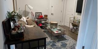 Centrally Located, Modern Fenway 2-Bed w/ Laundry Gallery 15