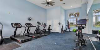 343 BLUE CYPRESS Drive Gallery 75