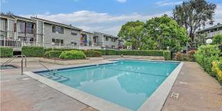 3443 Pepperwood Ter Gallery 26